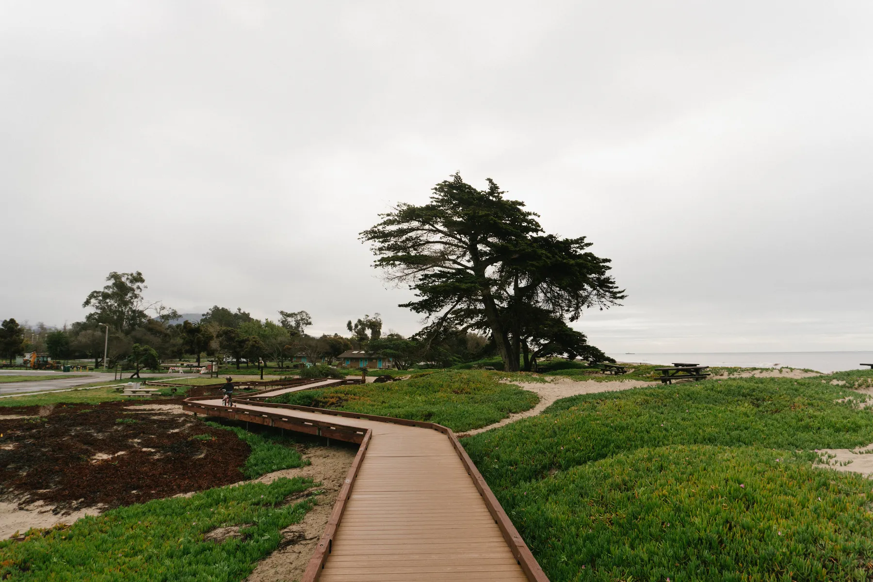 Carpinteria - _A650338.jpg